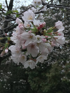 160413_4.jpg